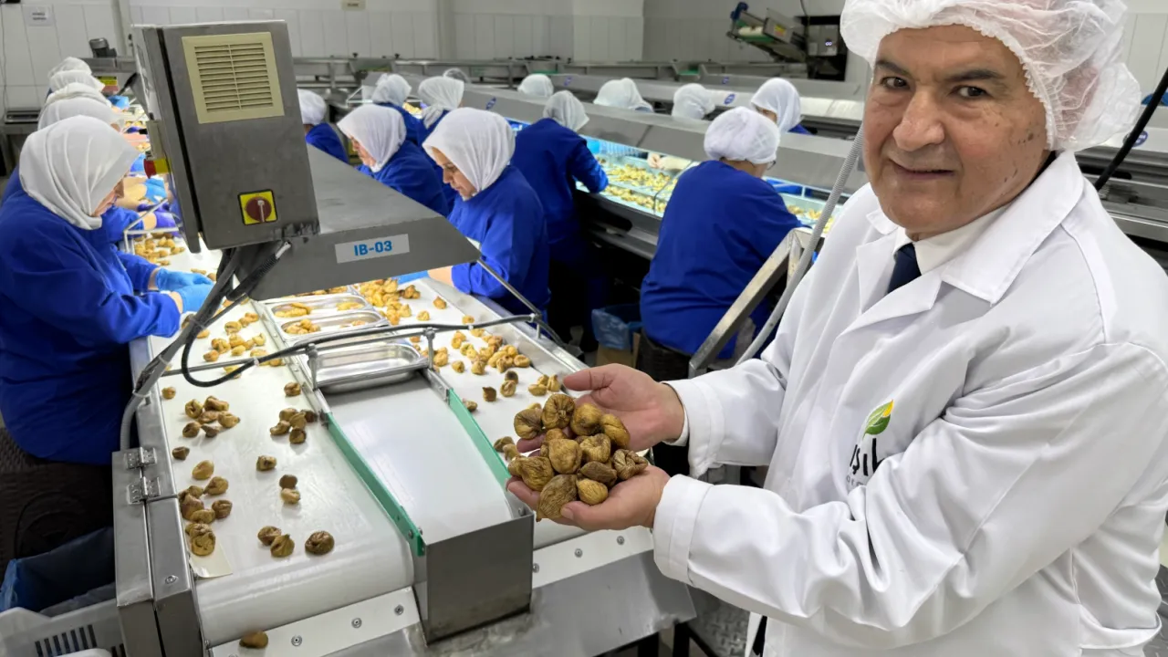 Kuru meyve sektöründe 12 şampiyonun 11’i Egeli