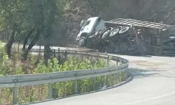 Düzce Yığılca yolunda TIR devrildi!