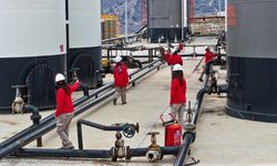 Gabar'da Türkiye'nin enerjisine güç katan kadınlar görev başında