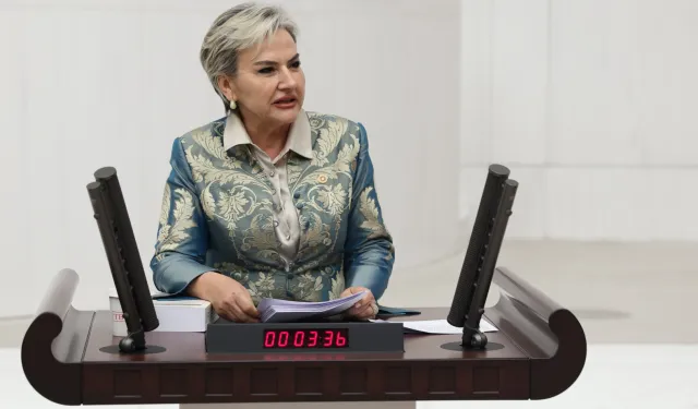 CHP'li Özdemir'den Bakan Memişoğlu'na 'medikal estetik' soruları