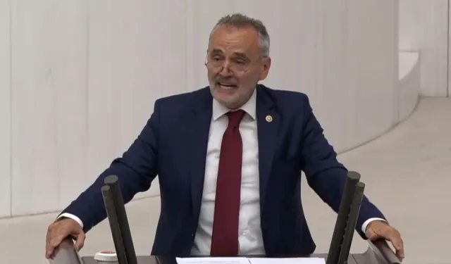 Prof. Dr. Mehmet Akalın'a uluslararası görev