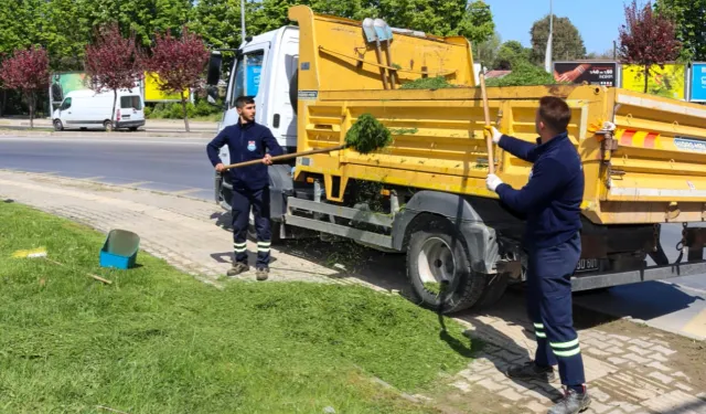 Yalova'da yeşil alan bakımı sürüyor