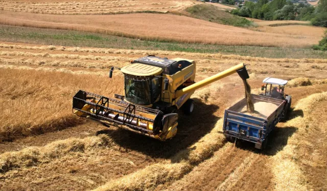 Kocaeli’de 57 bin dekarda hasat sevinci
