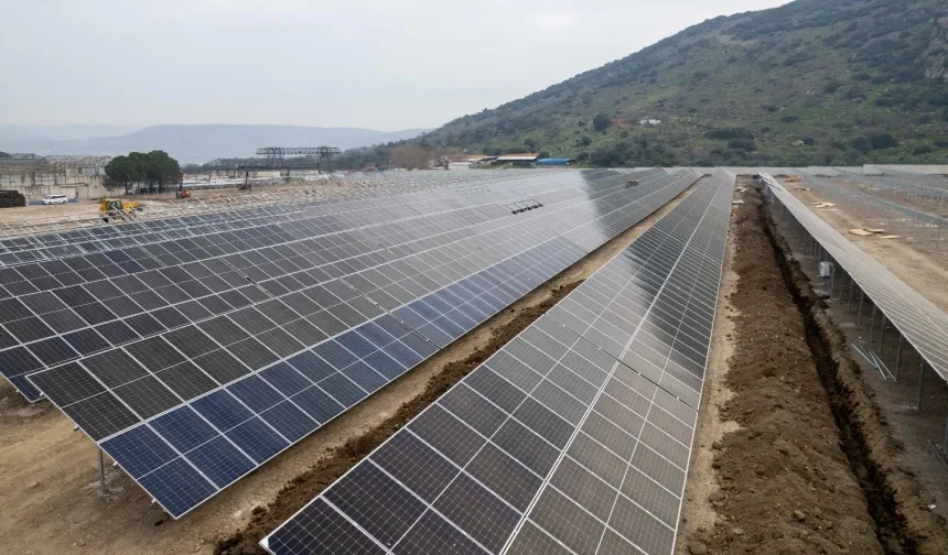 İzmir’in doğal yaşamı güvenceye alınıyor