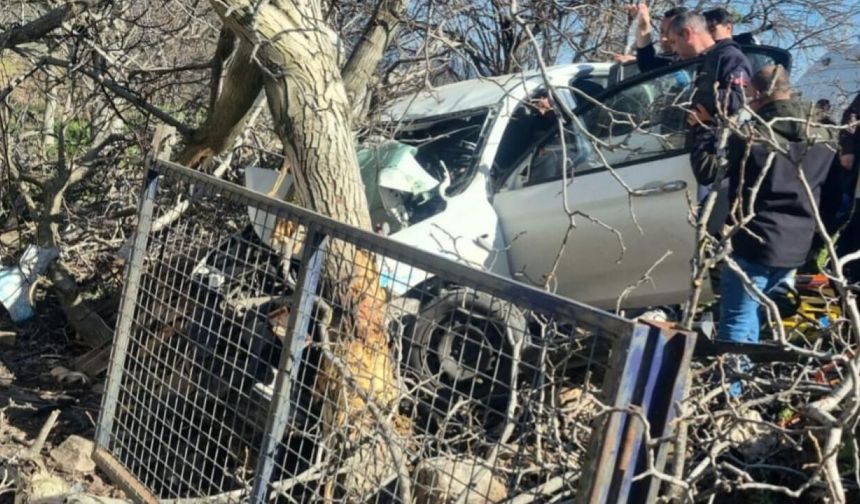 Aydın'da trafik kazası: 2 ölü, 1 yaralı