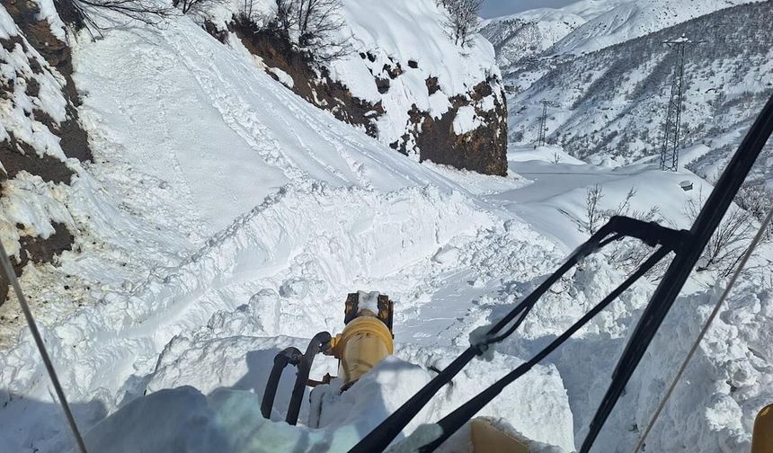Doğu'da ulaşıma kar engeli: 187 yol kapandı