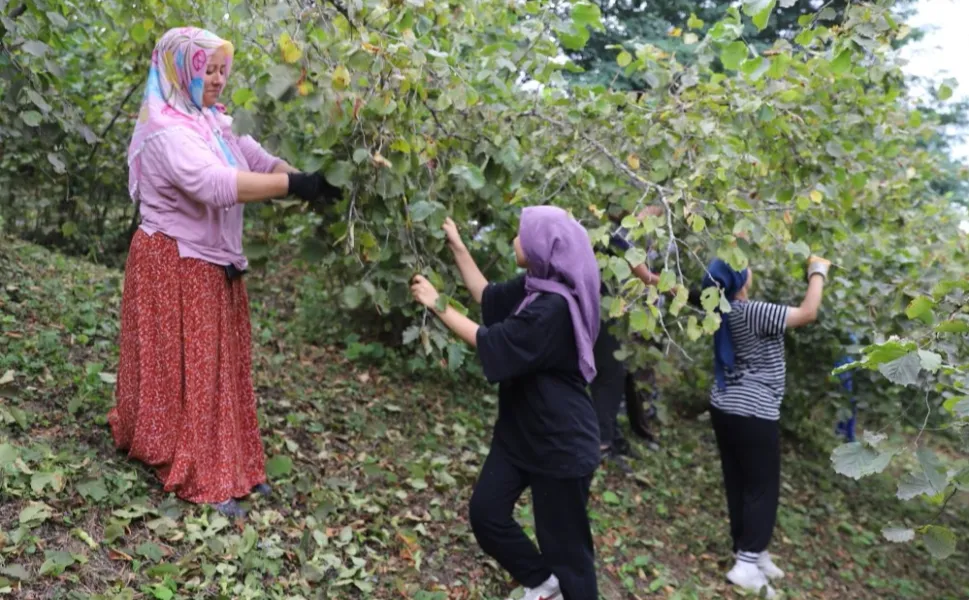 ‘Fındık Dalda Aklın İşçide Kalmasın’ projesi 6. yılında